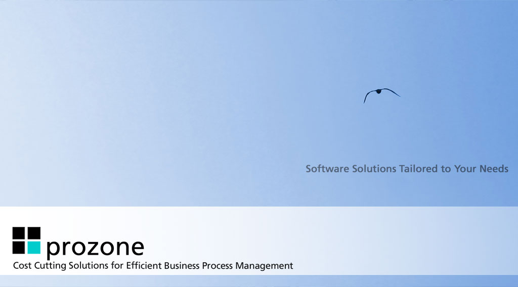 Prozone – IT Solutions – Odsek za informatiku